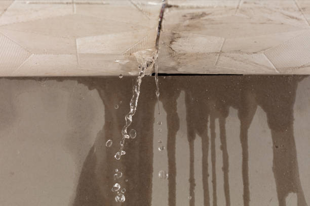 Professional Structural Drying technician working in Hudsonville, MI